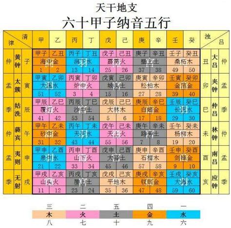 紫微斗數 木三局|紫微斗數入門基礎知識：木三局各木特性知識基礎